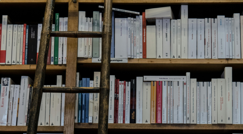 Rewarding work! Volunteer tutors sought in Longford to teach English conversation classes to Ukrainian people and other migrants