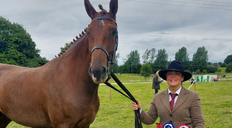 A true champion! Proud Longford horse owner thrilled with Oldcastle Show triumph
