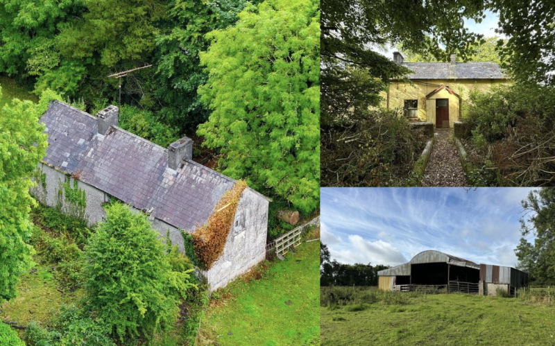 PICTURES: Longford fixer-upper farm cottage on over 13 acres on sale for just &euro;165k