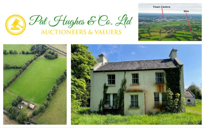 Residential farm with circa 35 acres in Longford is now on the market 