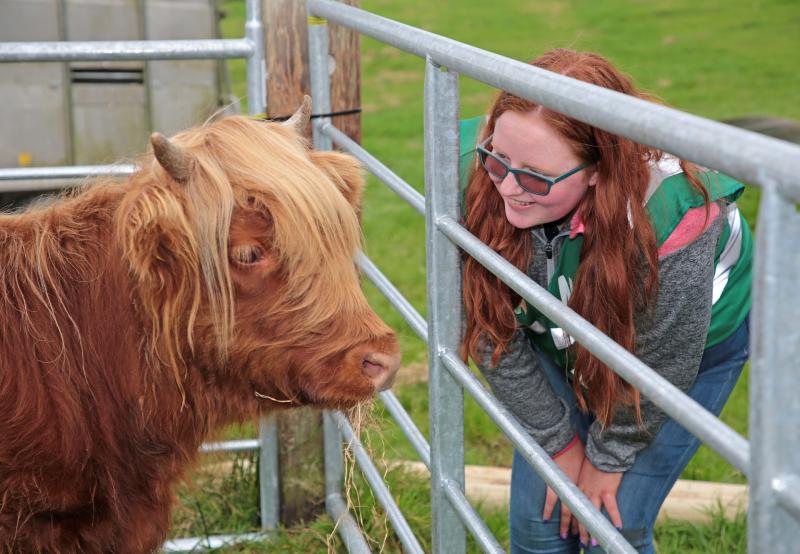 Large crowds in north Longford enjoy top class ploughing and plenty of family entertainment 