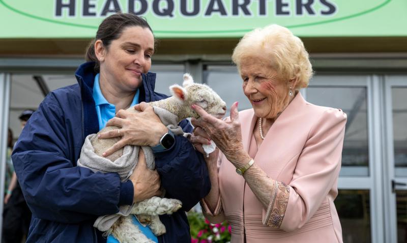 'I'd wear high heels if I still could' - Queen of Ploughing Anna May McHugh says leave wellies at home