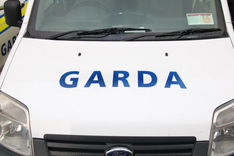 Man who damaged several cars in Longford town remanded in custody