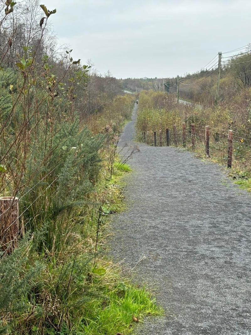 ALERT | Popular Longford walkway will be closed to facilitate routine maintenance work