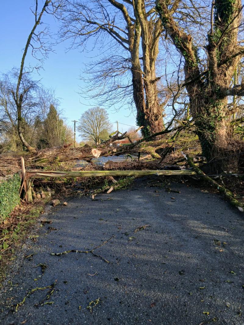 Storm Darragh's strong winds disrupted power supplies across Longford
