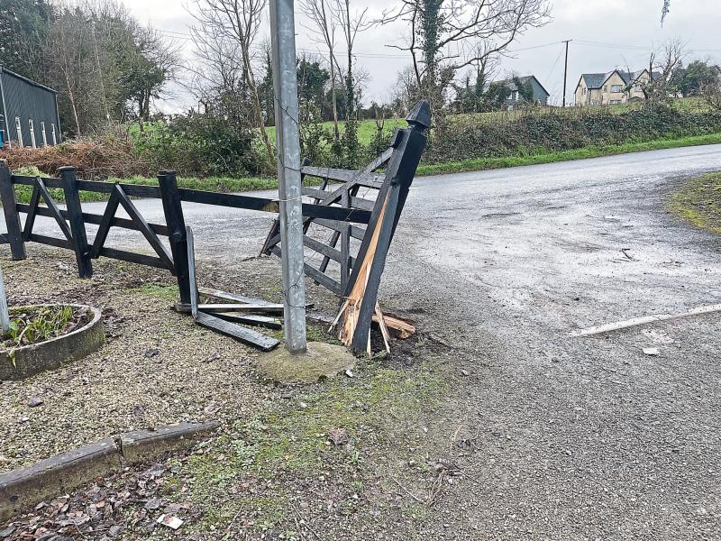 North Longford volunteers angered as vandals wreak havoc at Leebeen Park
