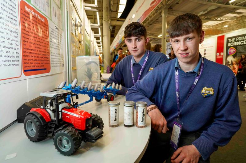 Longford students win award at 61st BT Young Scientist & Technology Exhibition