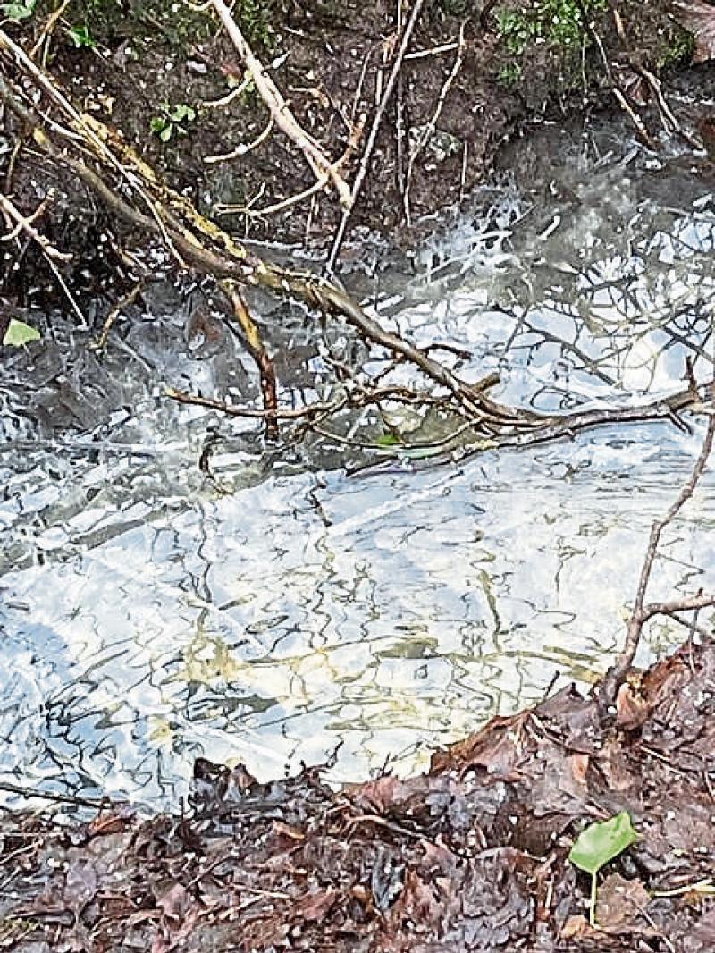 Longford family highlight 'unhealthy' and 'dangerous' pollution of stream running behind their house