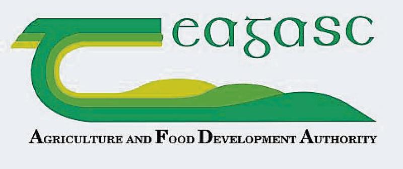 Get answers to your forestry questions at Teagasc Longford forestry advisory clinic