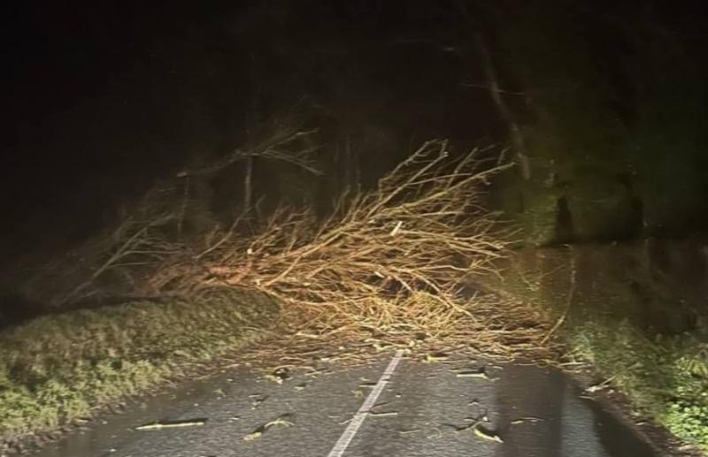 LIVE: More than 560,000 homes without power as Storm &Eacute;owyn continues to batter Ireland