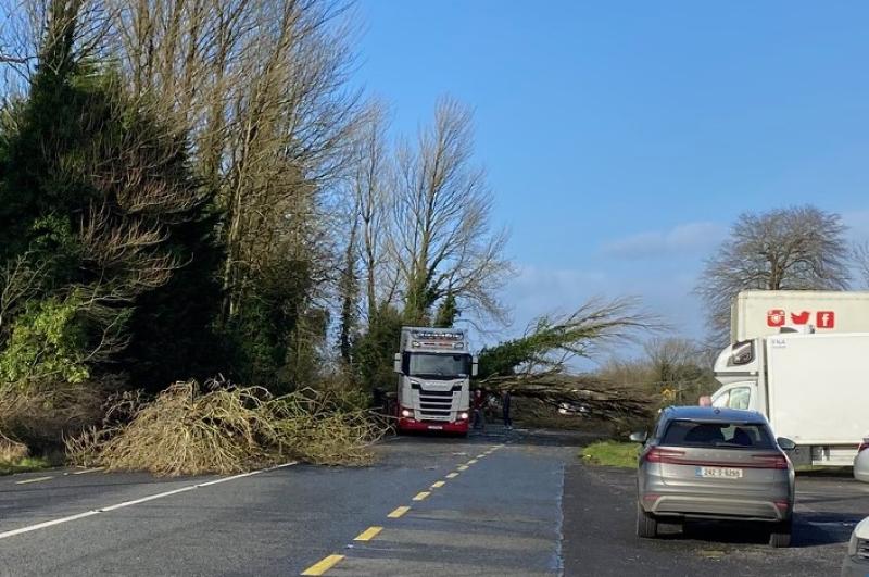 Live: Counting the cost of Storm Éowyn in Longford