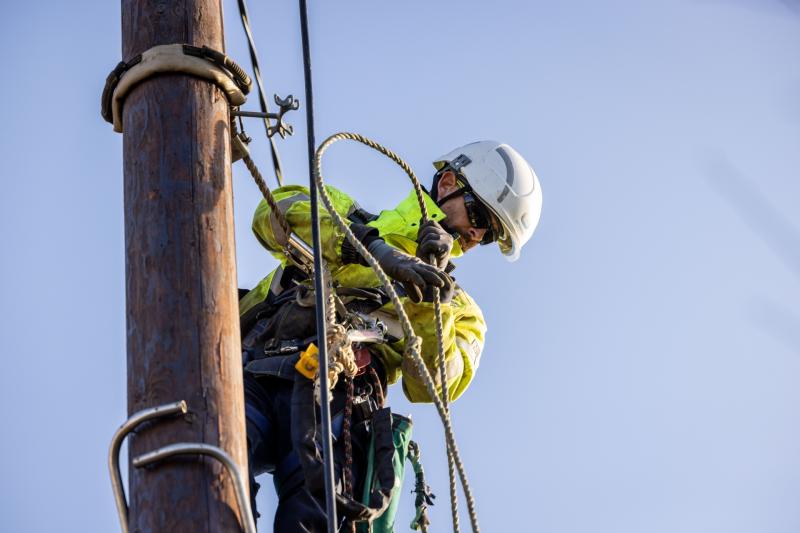Thousands of homes and businesses in Longford still without power in the wake of Storm Éowyn