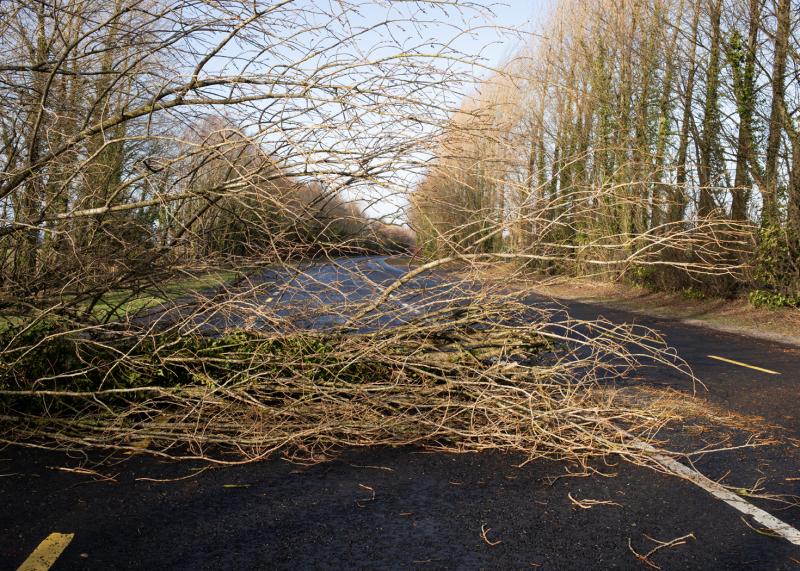Clean-up continues across Longford in wake of Storm Éowyn with some road closures in place 