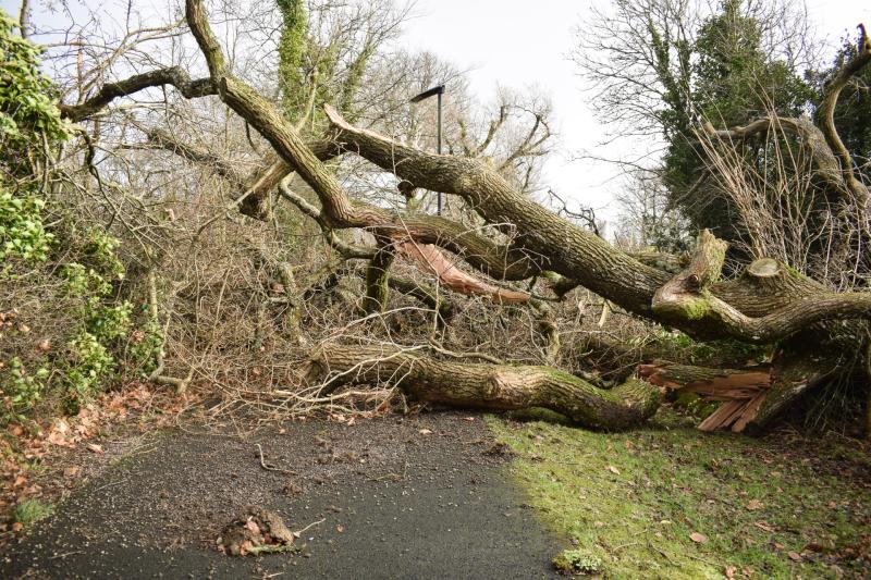  Humanitarian Assistance Scheme available to Longford households directly affected by Storm Éowyn