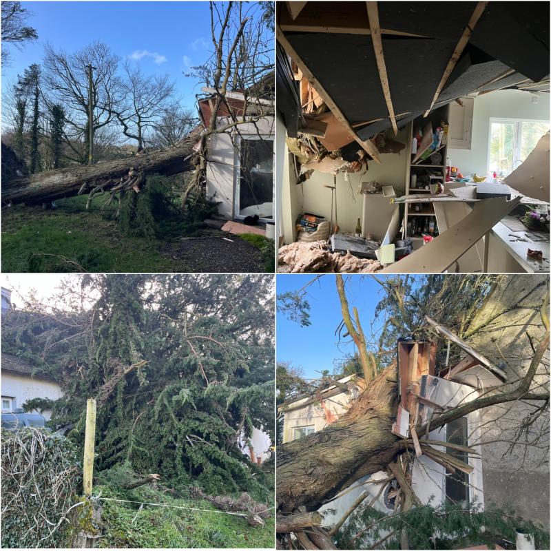Fright of her life: Longford grandmother (88) has lucky escape as Storm Éowyn sends tree crashing into her home