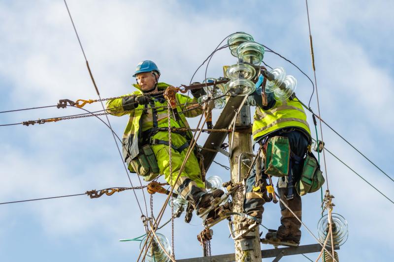 The wait goes on: Eleven days since Storm Éowyn struck 600 Longford customers are still without power 