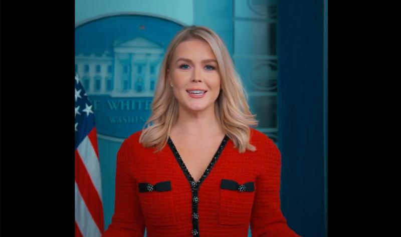 'Wasteful' funding of $70k for 'DEI Musical in Ireland' slammed by the White House  