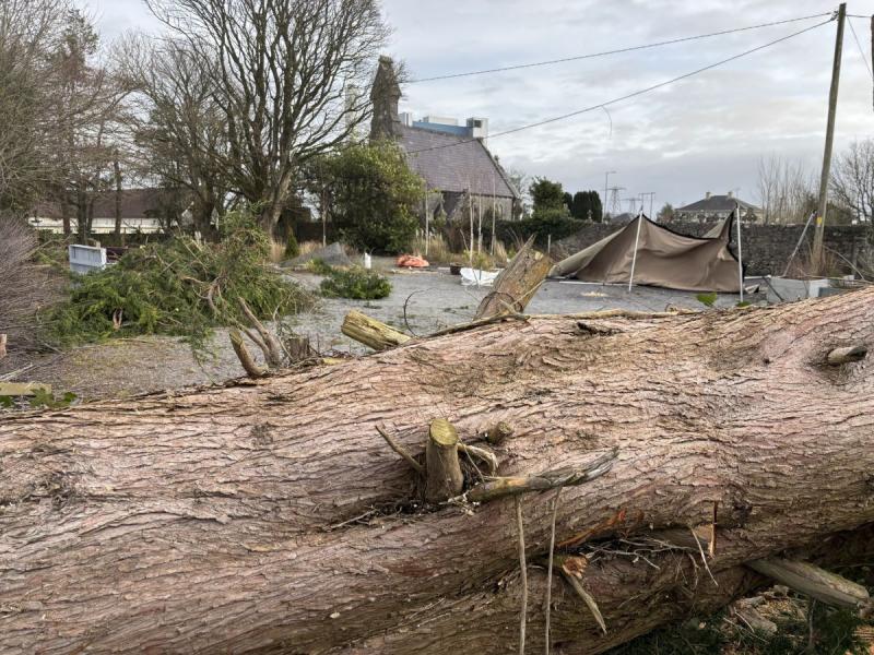 Government have many questions  to answer about total neglect of Longford communities and rural Ireland in wake of Storm Éowyn