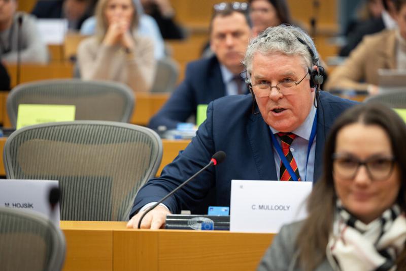 Longford MEP calls for greater support for community groups