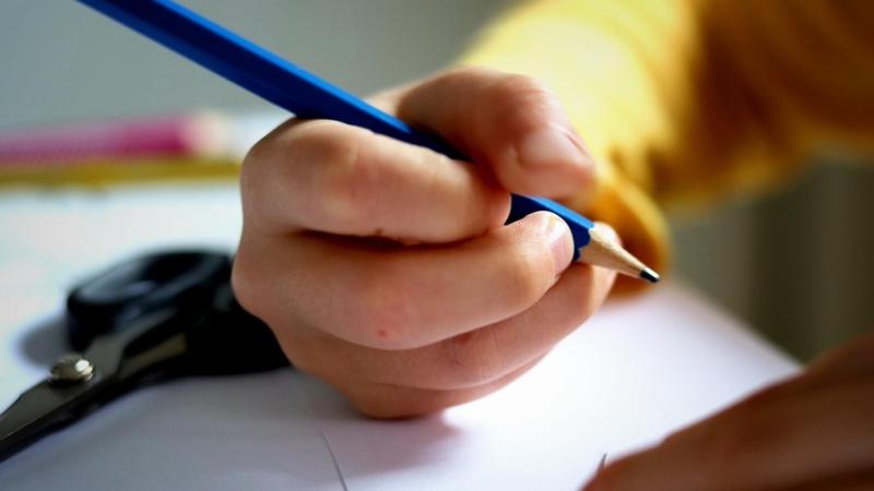 Pilot scheme yet to address issues caused by removal of therapists in schools