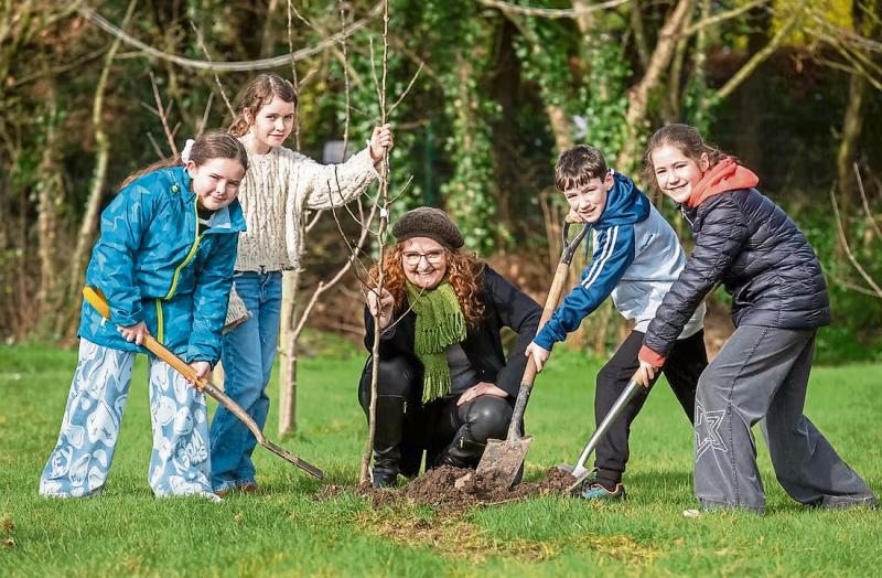 People of Longford urged to play their part and combat climate change during National Tree Week 2025