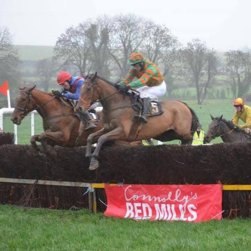 Longford Harriers Point to Point racing in historic venue on Sunday