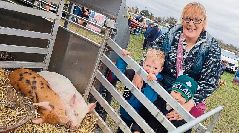 For the record: All the results from the 89th County Longford Ploughing Championships 