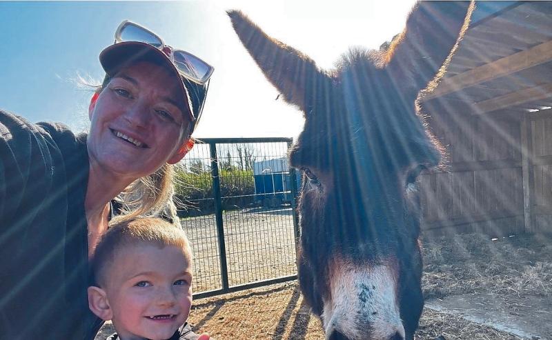 Longford animal rescue centre hosting series of Easter Barnyard Bonanza events