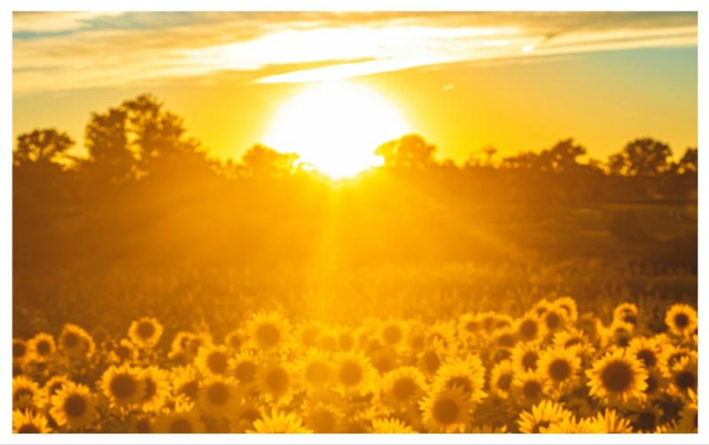 Met &Eacute;ireann confirms 24 degree heat for Ireland this week but things could take a turn