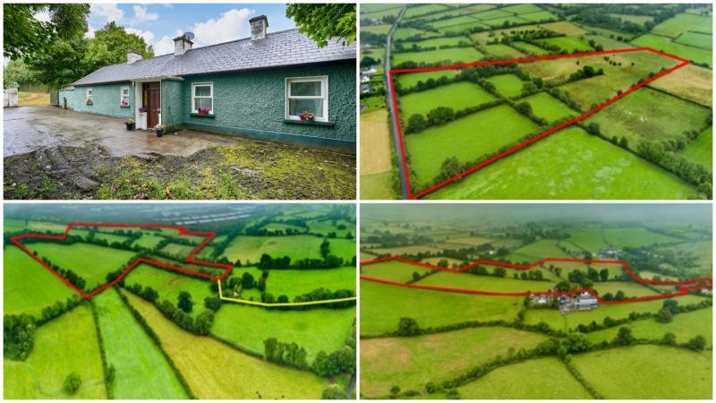 Auction: Intense bidding expected as attractive Longford farm goes under the hammer