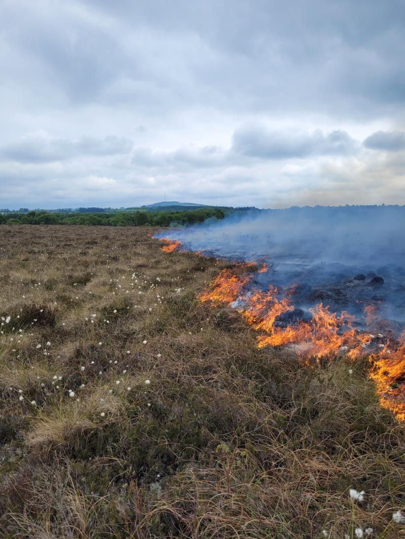Large bog fire in county Longford