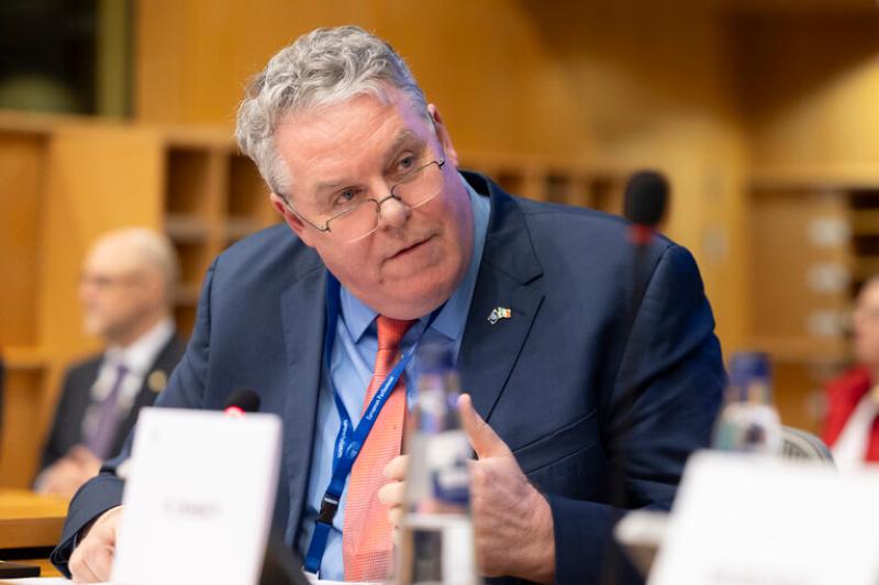 Longford MEP says 'vital' European Parliament amendments can provide 'lifeline' for workers, businesses, and communities 