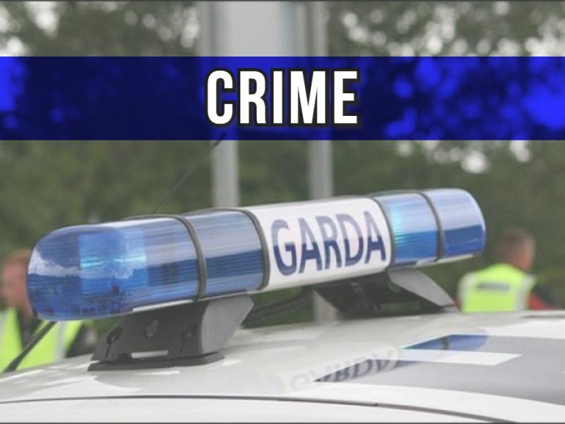 Garda&iacute; probing south Longford burglary where raiders stole 'thousands of euro' of goods