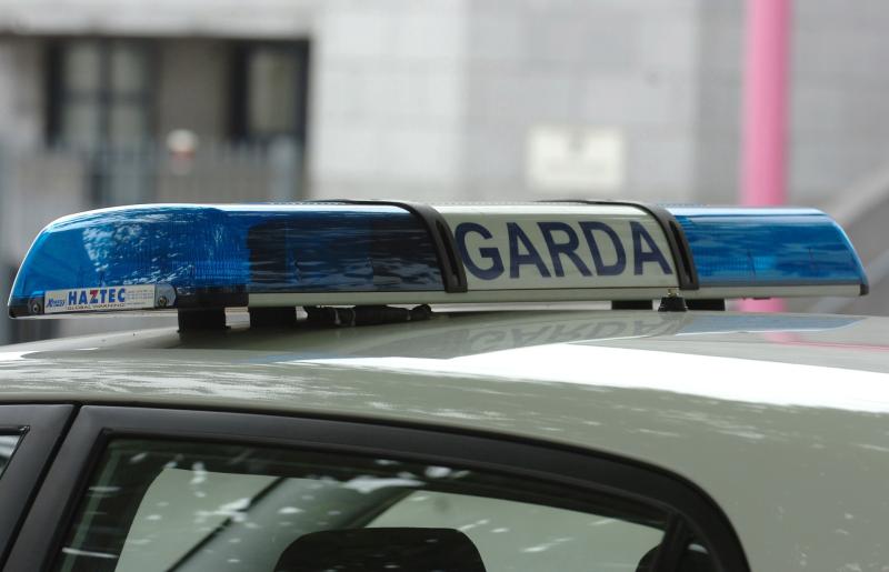 Longford Garda ‘thought of colleagues who were killed’ as ‘menace to society’ crashed into patrol car