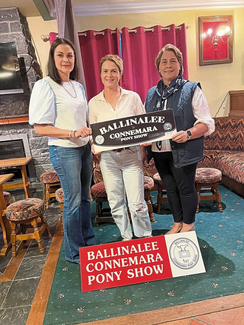 Large crowd expected in Longford for 43rd annual Ballinalee Connemara Pony Show 