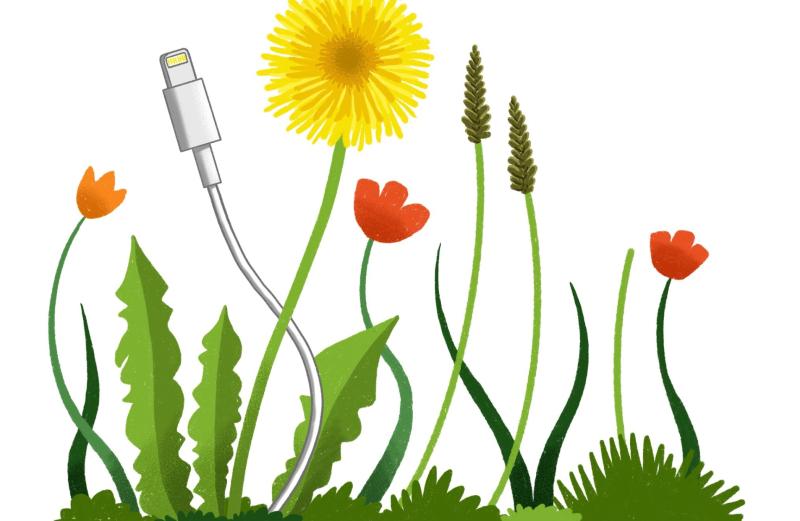 Every Blooming Thing