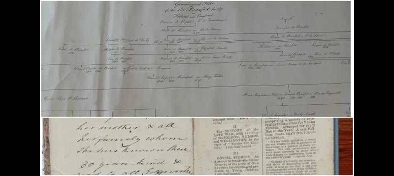 Edgeworth artefacts