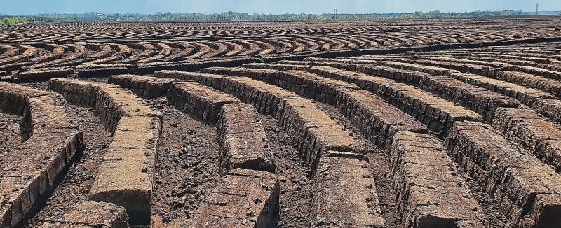 Peat extraction