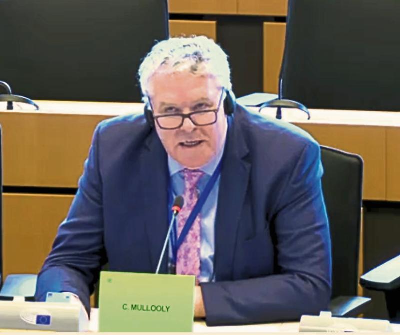 MEP Ciaran Mullooly secures vital support for creation of special economic zone in Longford