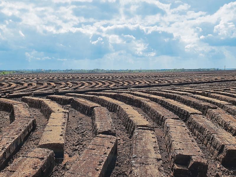 Crackdown on illegal peat extraction operators in Longford is 'resource intensive'