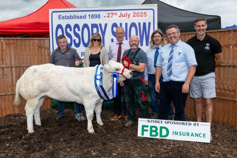 Longford Pedigree Irish Belgian Blue breeder thrilled with success at Ossory Show