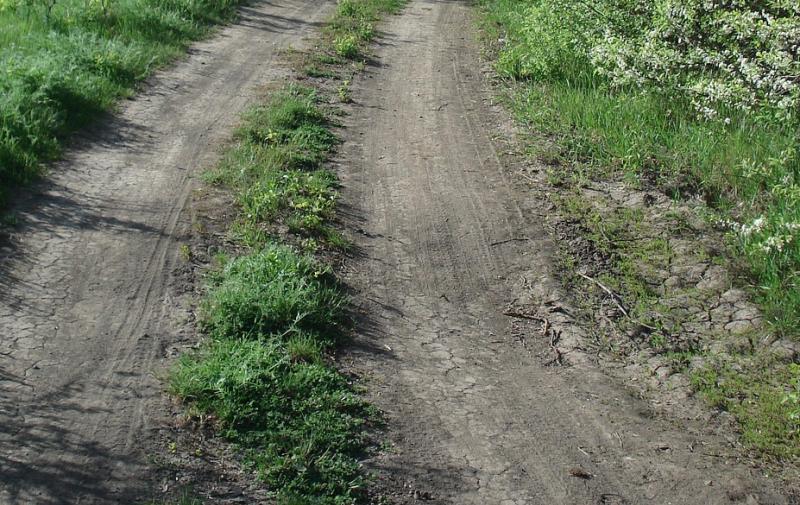 Country lane