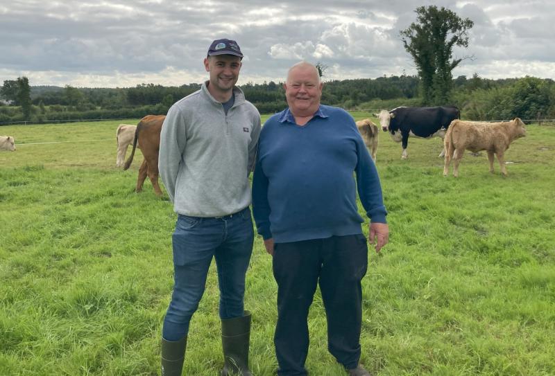 Teagasc suckler farm walk