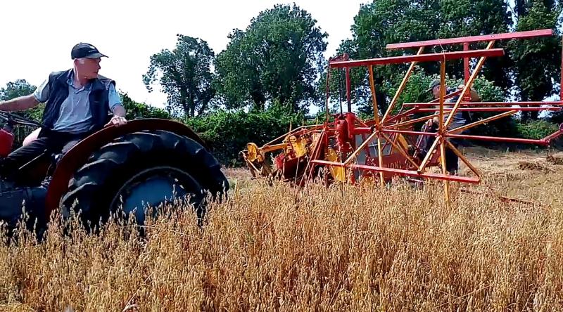 Vintage corn-cutting event marks launch of second annual Sliabh Bán Harvest Festival 
