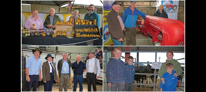 Ballymahon Show