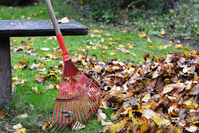 rake