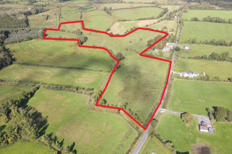 Longford farm featuring 'excellent fattening land' expected to attract much interest at auction