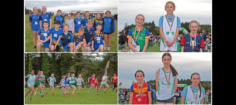 cross country