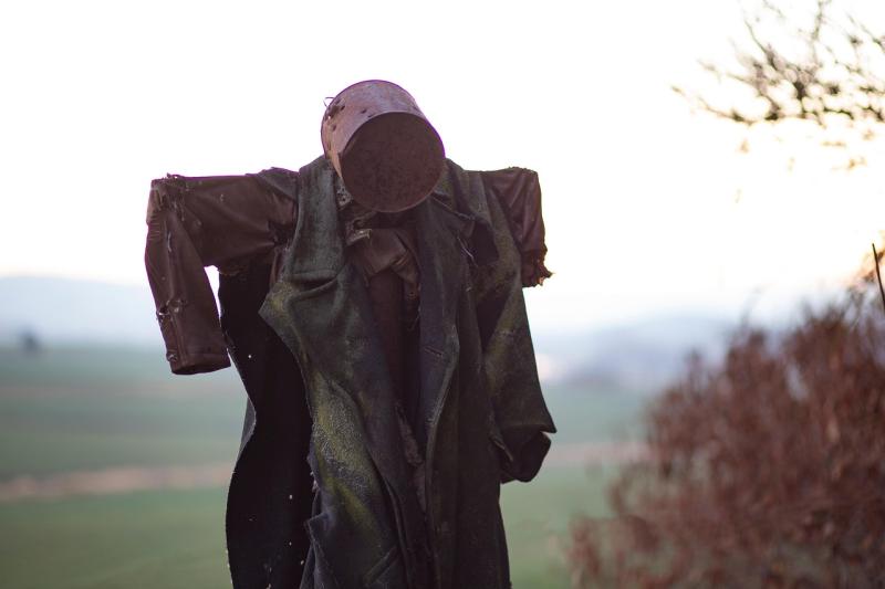 scarecrow
