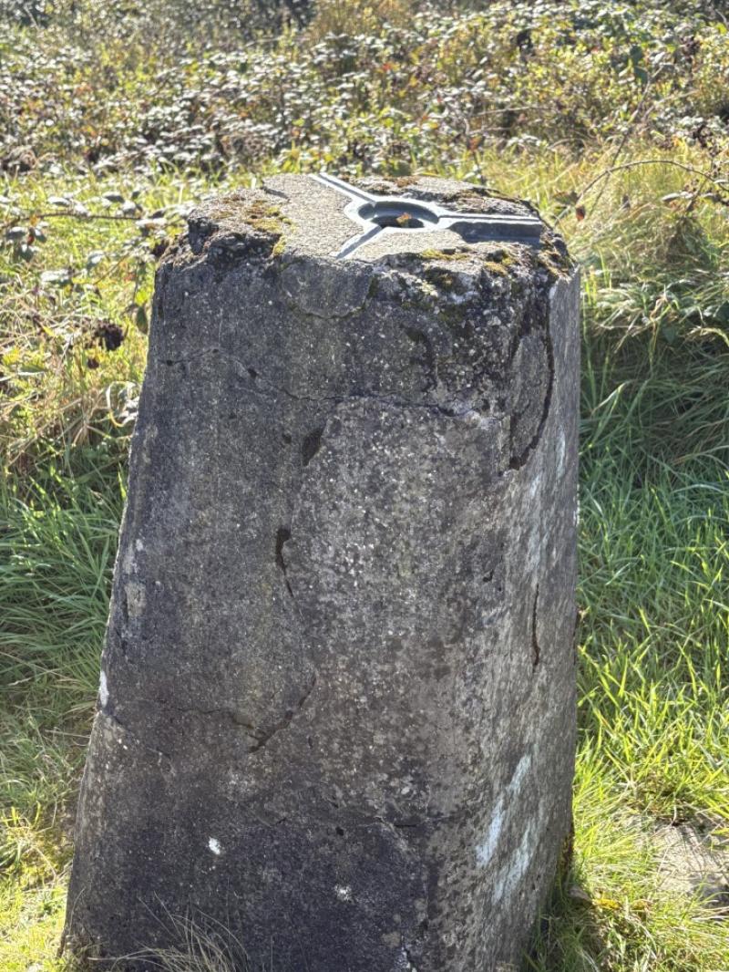 Cairn Hill remnant
